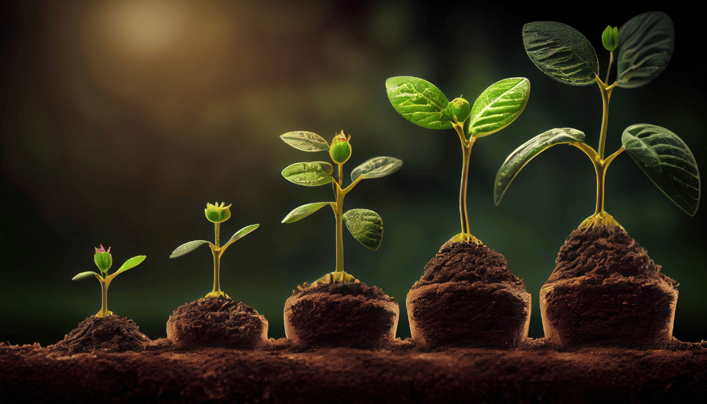 africaisgreen-hero-banner