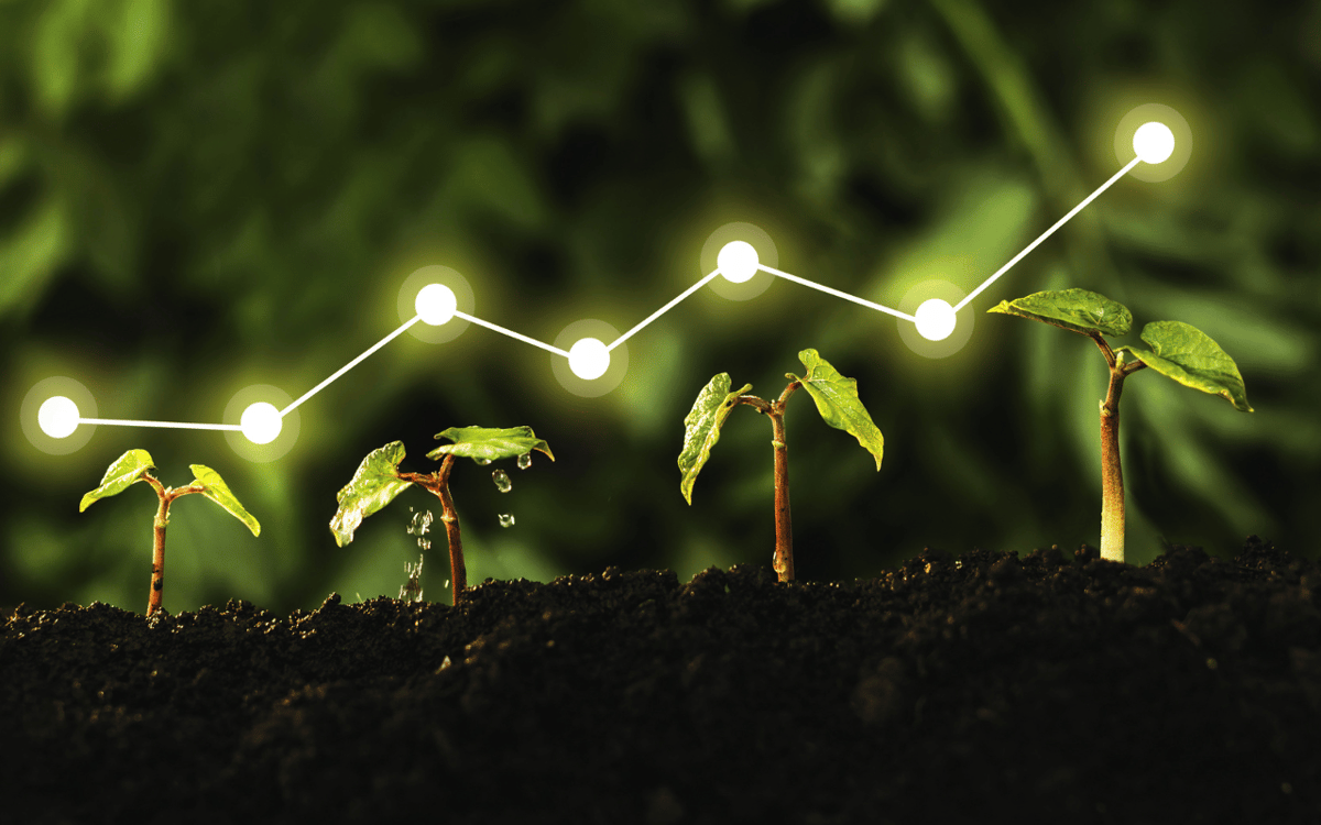 africaisgreen-we-grow