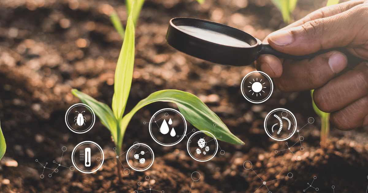 Regenerative Agriculture: Africa’s Key to Climate-Resilient Farming