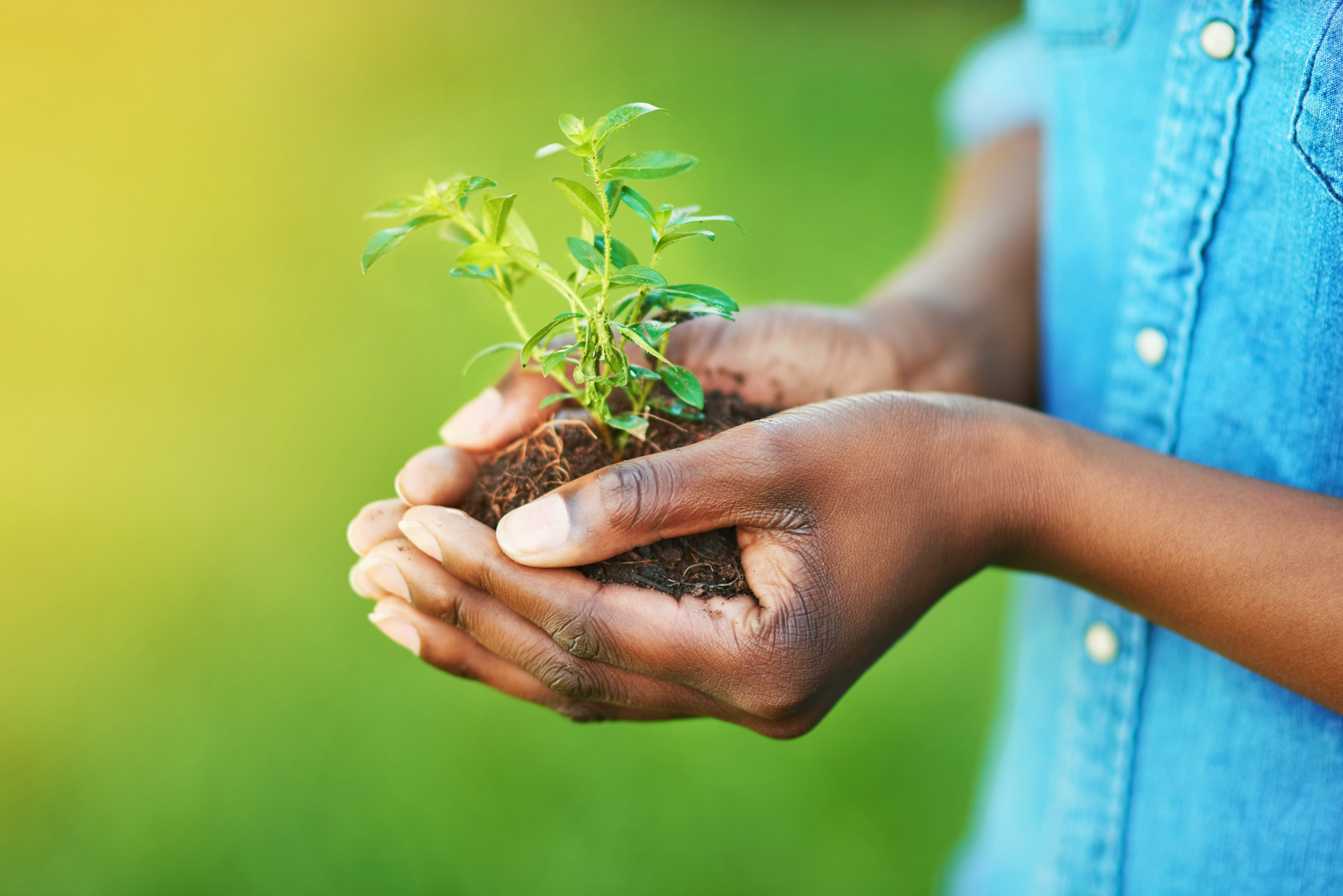 africaisgreen7